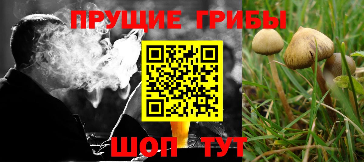 Псилоцибиновые грибы прущие грибы  Вход с VPN  Кунгур 